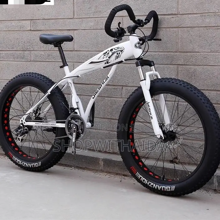 Fat Tyre Mountain Bike
