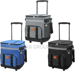 Large Insulated Picnic Bag