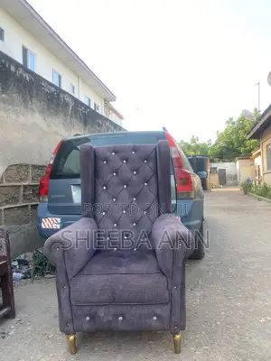 Single Sofa Pedicure Chair
