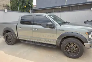 Ford F-150 2020 Gray