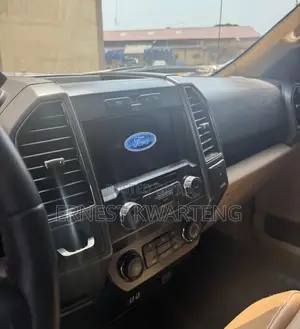 Ford F-150 2020 Gray