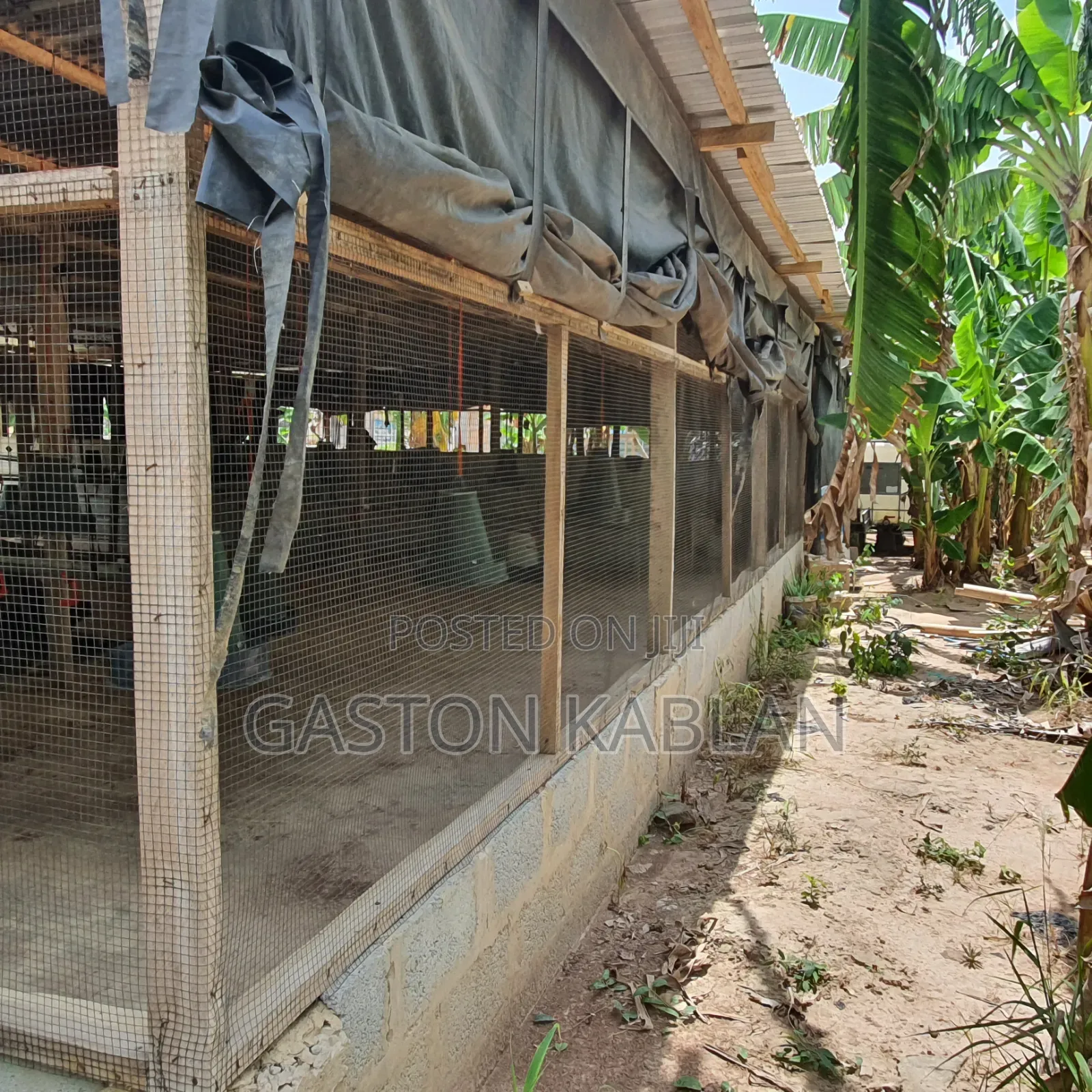 Poultry Farm for Sale – Teiman, Accra