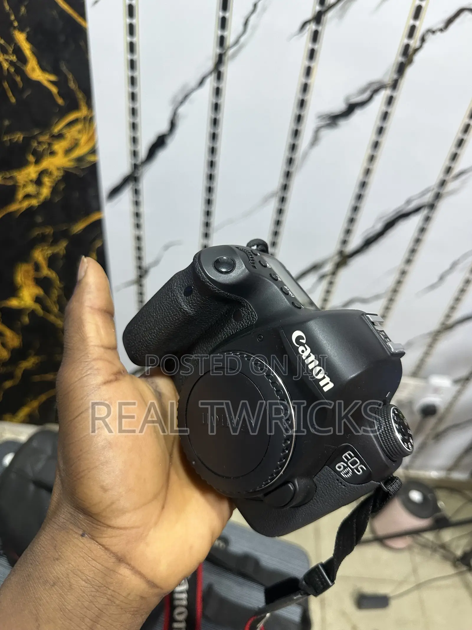 Canon 6d Body With 24-105mm Lens