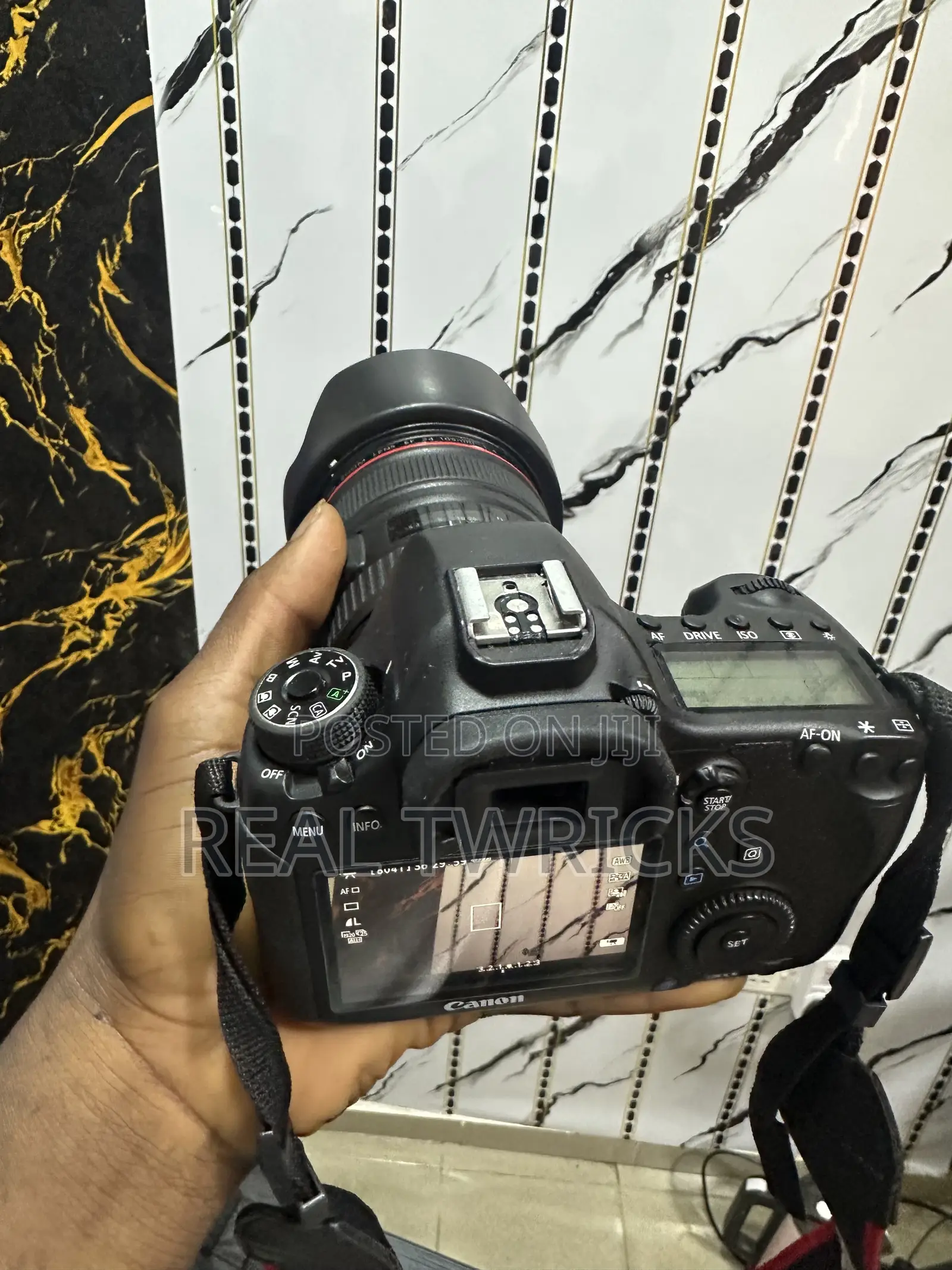 Canon 6d Body With 24-105mm Lens