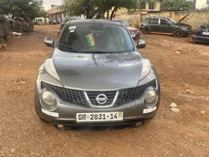 Nissan Juke 2014 Silver