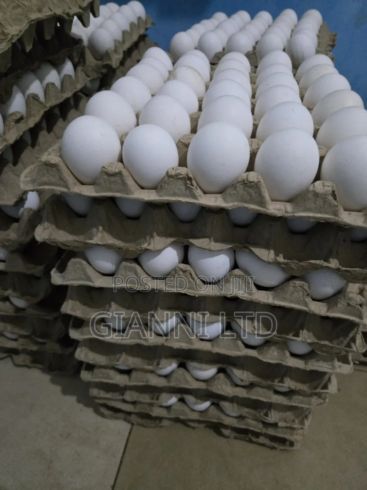 Fresh Farm Eggs for Sale. Available for Both Wholesale and Retail
