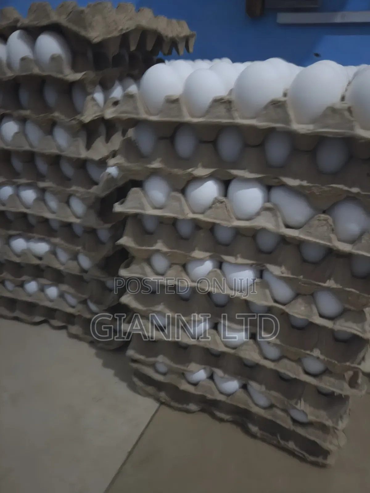 Fresh Farm Eggs for Sale. Available for Both Wholesale and Retail