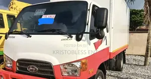 Hyundai County 2015 White
