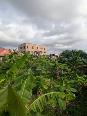 Registered Land at Ashongman