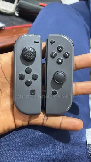 Original Nintendo Switch Joycon Controller