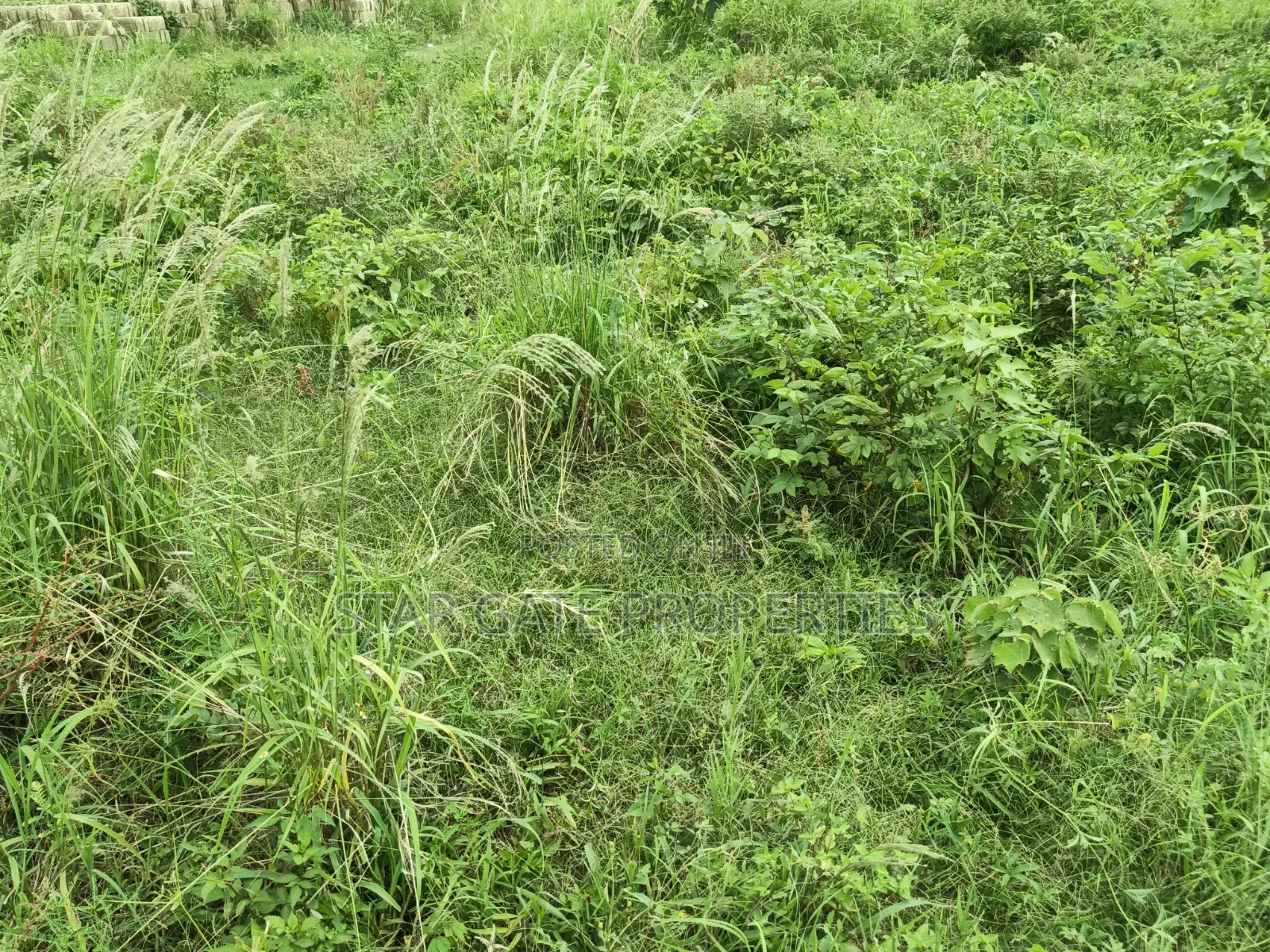 25 Acres Farm Land for Sale at Aputuogya Bekwai Road.