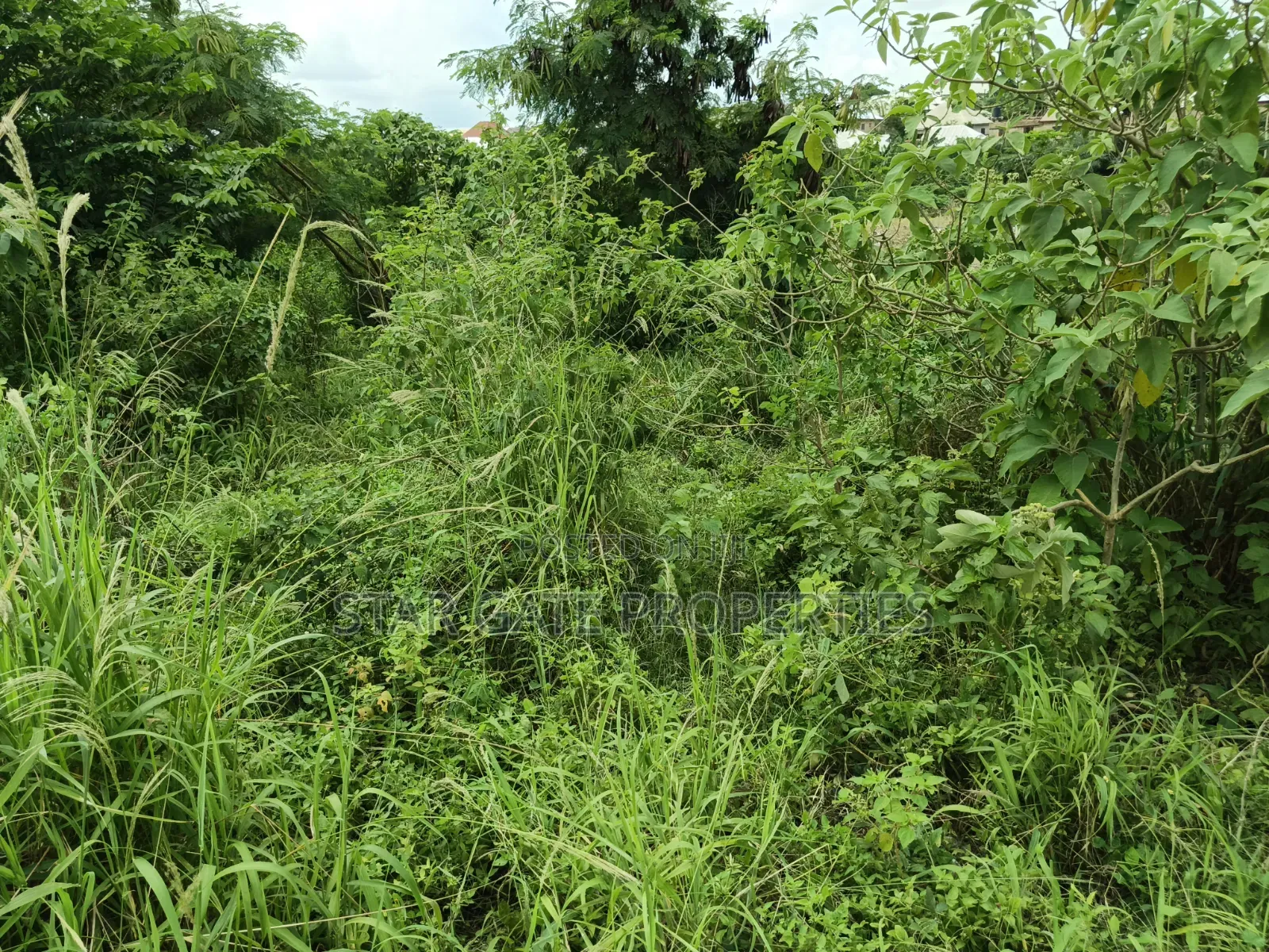 25 Acres Farm Land for Sale at Aputuogya Bekwai Road.