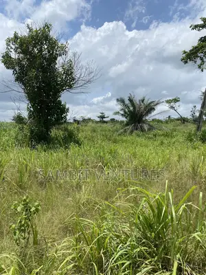 Farm Land at Krabo Kotaa 15 Minutes Drive From Adeso Junction