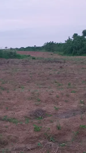 11 and Half Plots of Land for Sale at Kasoa Adawukwa