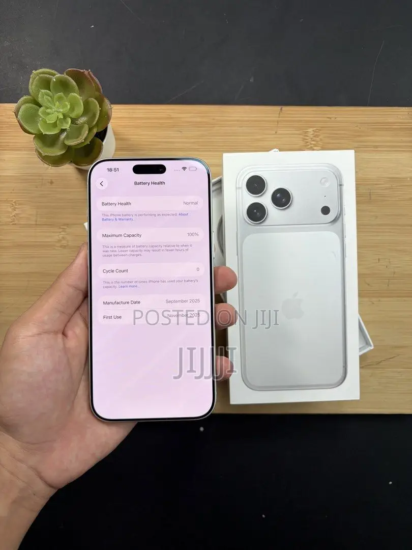 Apple iPhone 17 Pro Max 256 GB Silver
