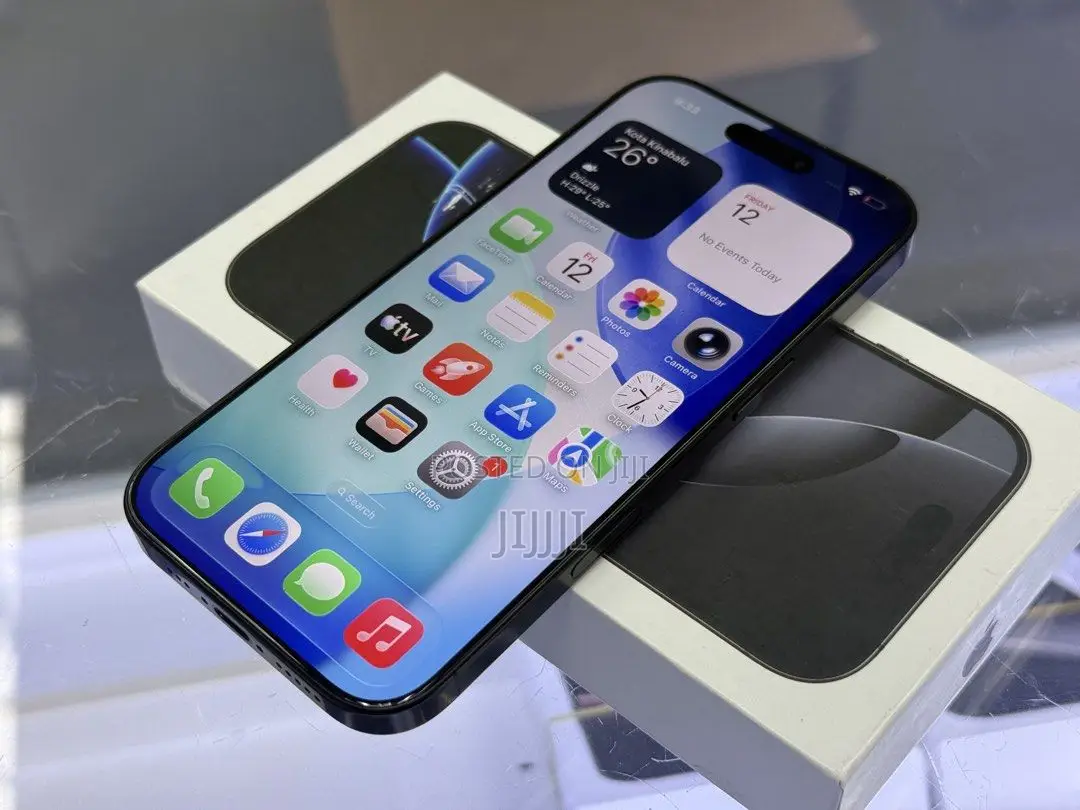 Apple iPhone 16 Pro Max 256 GB Black