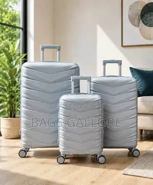 Ash Color Luggage