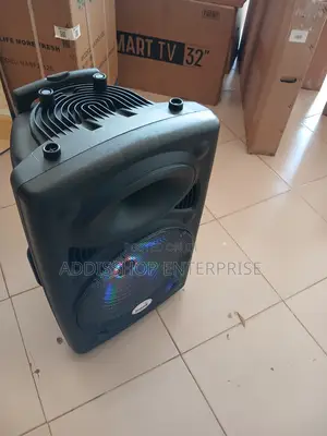 Icona 12 Inches Speaker