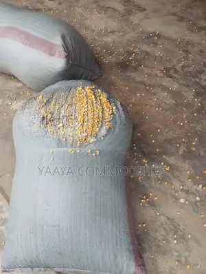 Corn White Yellow