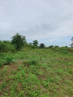 Affordable Lands for Sale at Nsawam