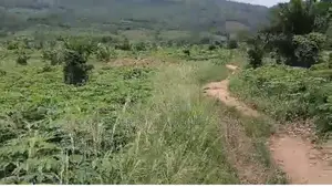 Affordable Lands for Sale at Nsawam