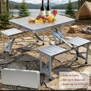 Picnic or Camping Table and Chair
