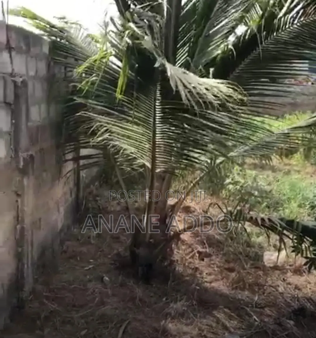 8bdrm Apartment in Nics Properties, Gomoa East for sale