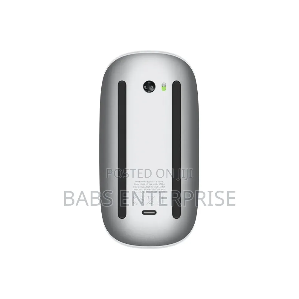 Apple Magic Mouse Type C With Multi Touch Surface – Silver