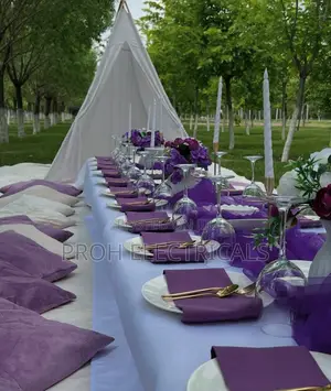 Picnic Setup