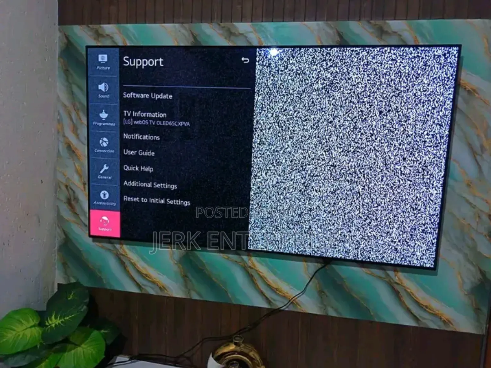 65inches Oled Tv