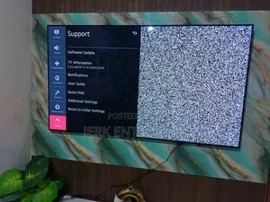65inches Oled Tv