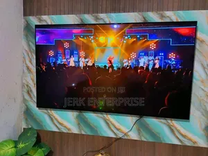 65inches Oled Tv