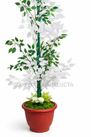 Beautiful Potted Artificial Plant for Home/Office Decor