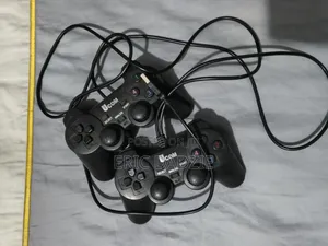 Twin Usb Wired Controller