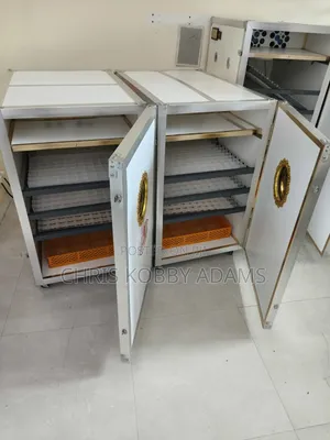 Best Turkey Egg Incubator