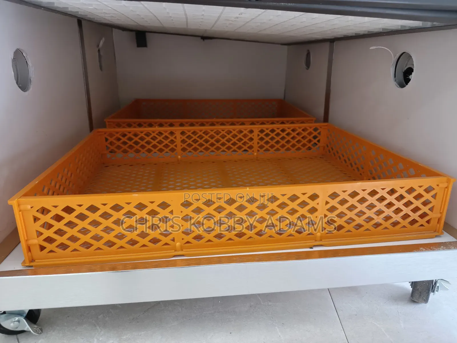 Best Turkey Egg Incubator