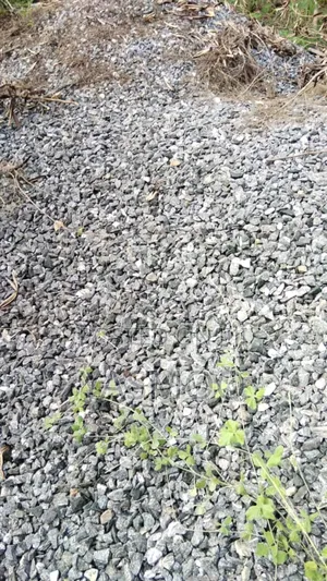 Stone Chippings