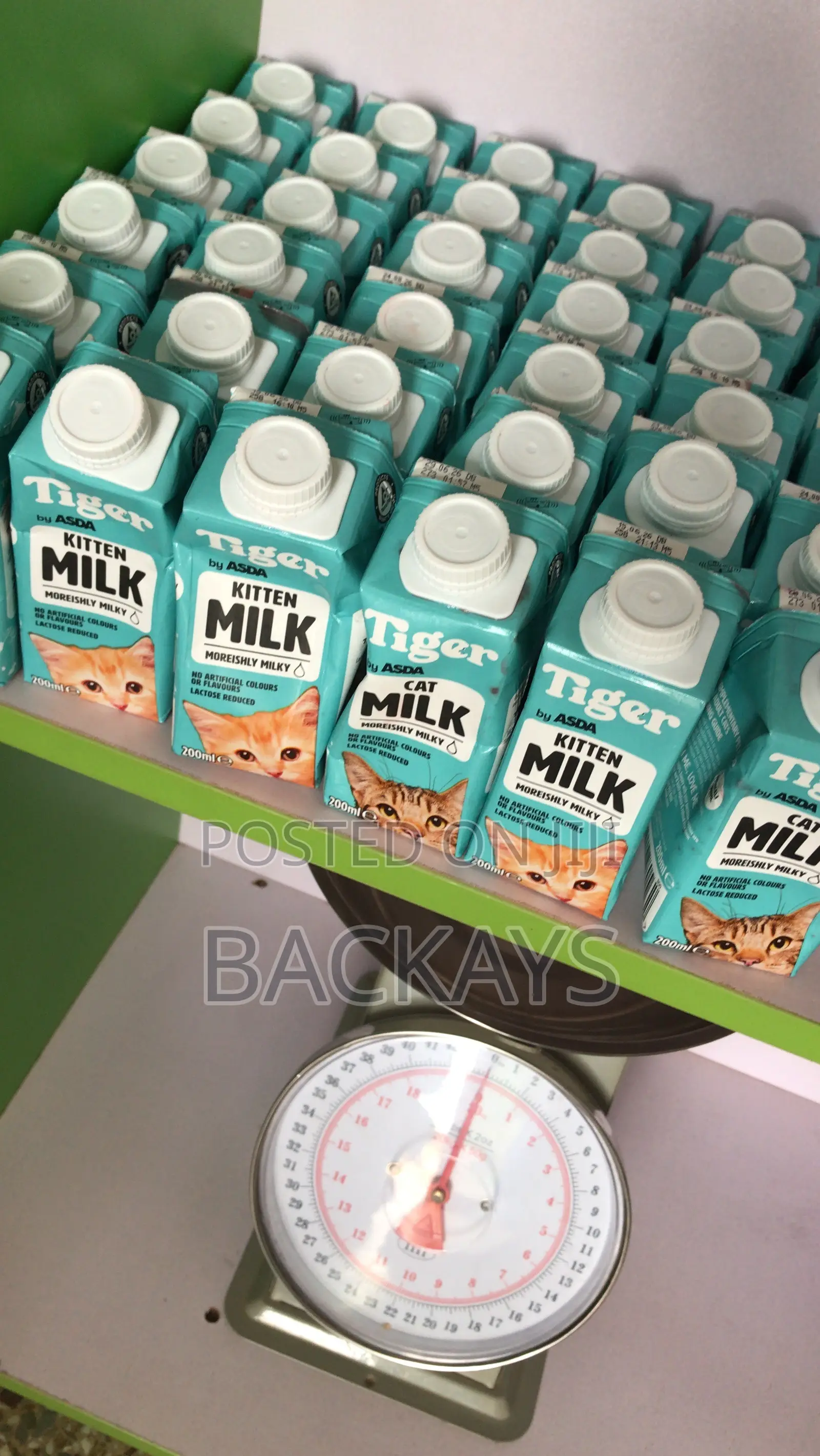 Nutritious Tiger Cat Milk