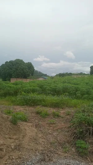 6 Plots at Kasoa Adawukwa Junction for Sale