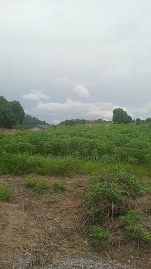 6 Plots at Kasoa Adawukwa Junction for Sale