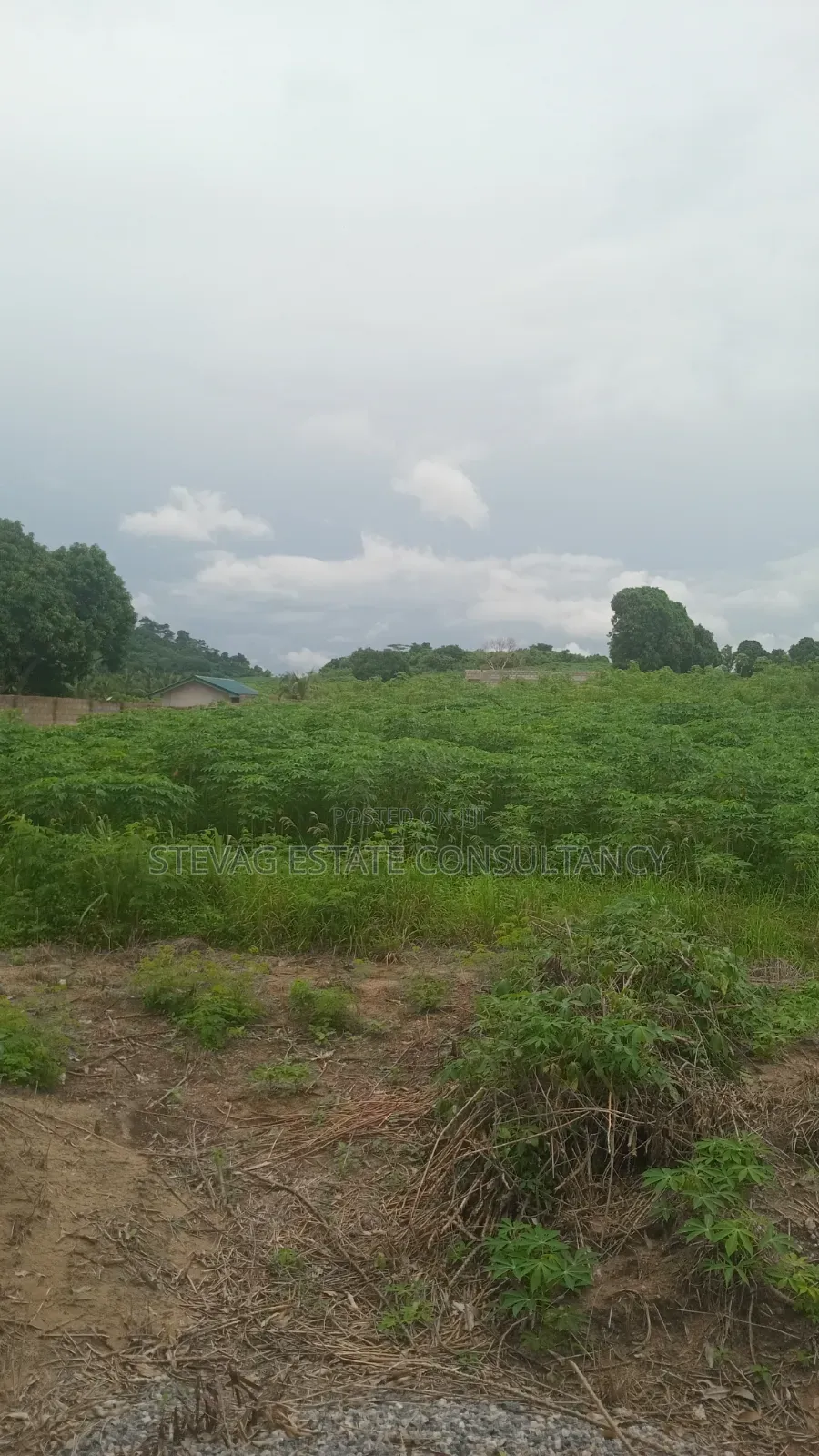 6 Plots at Kasoa Adawukwa Junction for Sale