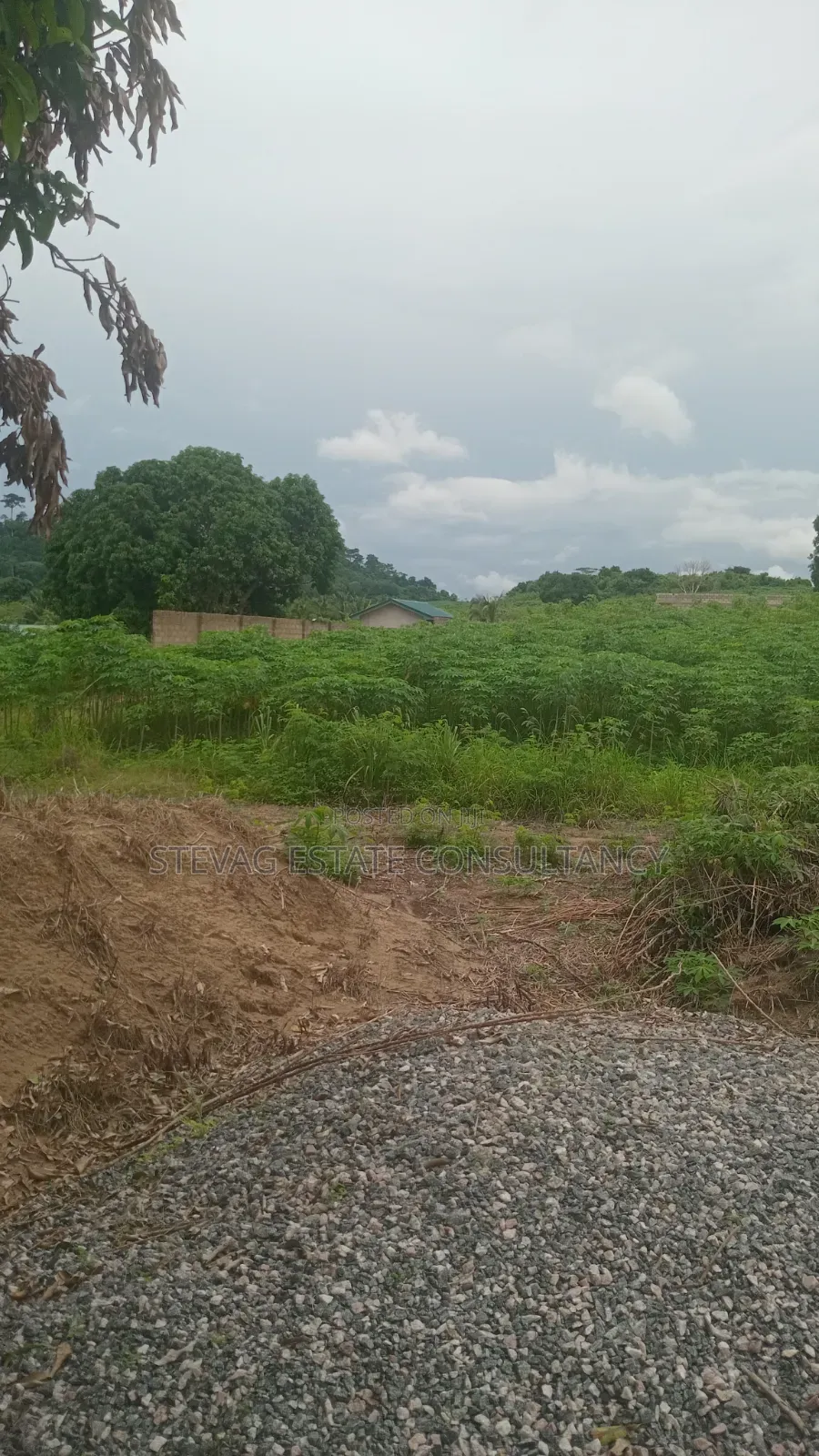 4 Plot of Land for Sale at Kasoa Adawukwa Akufu Krodua