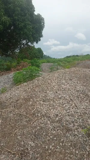 4 Plot of Land for Sale at Kasoa Adawukwa Akufu Krodua