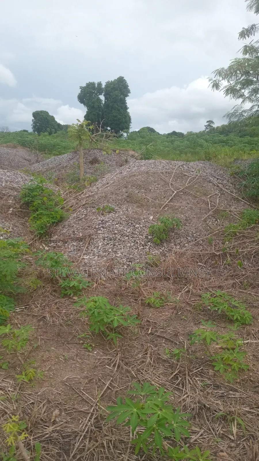 4 Plot of Land for Sale at Kasoa Adawukwa Akufu Krodua