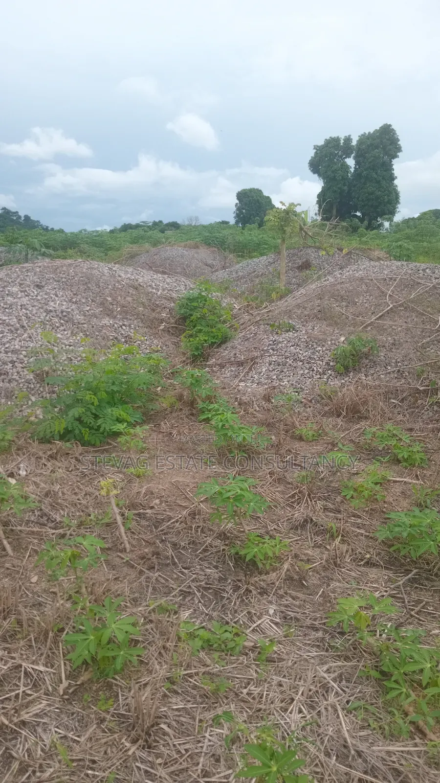 Estate 3 Plots of Land for Sale at Kasoa Adawukwa