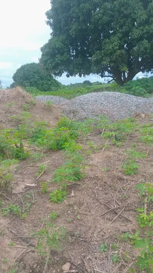 Estate 3 Plots of Land for Sale at Kasoa Adawukwa