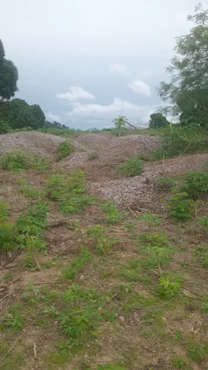 Estate 3 Plots of Land for Sale at Kasoa Adawukwa