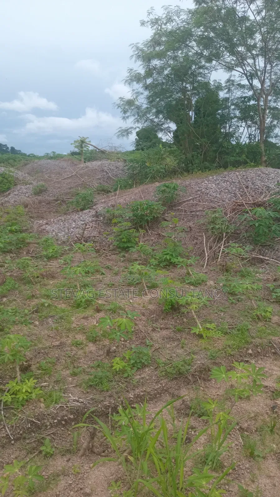 Estate 3 Plots of Land for Sale at Kasoa Adawukwa