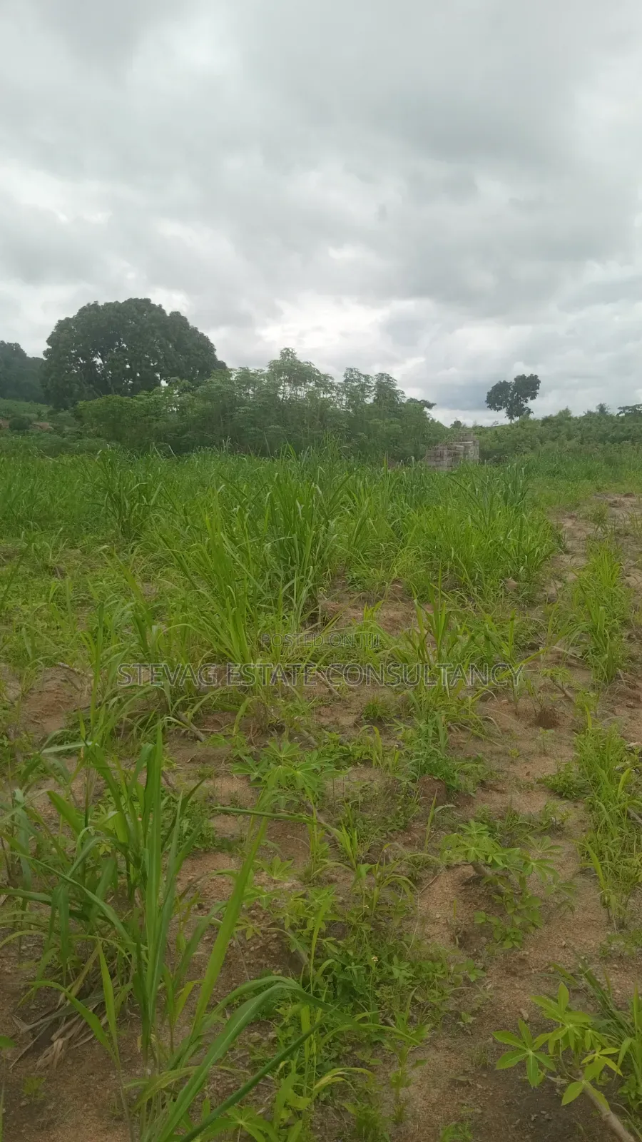 Estate 3 Plots of Land for Sale at Kasoa Adawukwa
