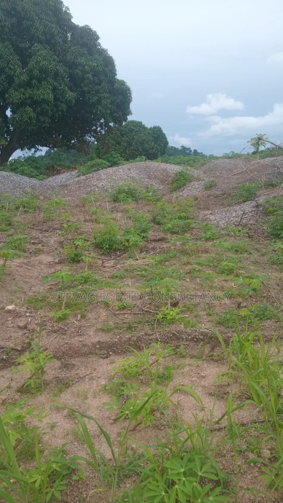 Plots of Land Available for Sale at Kasoa Adawukwa
